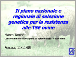 Il piano nazionale e regionale di selezione gentica per la resistenza