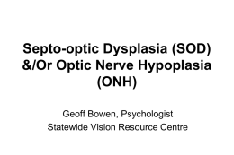 SEPTO-OPTIC DYSPLASIA - Statewide Vision Resource Centre