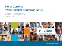 NC WSS Action Plan PowerPoint 11-7-12