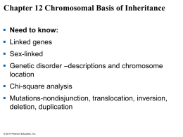 Chromosoal basis of heredity pp