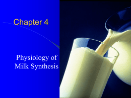 Physiology of milk secretion