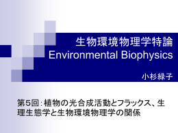 植物の光合成活動とフラックスと生理生態学と生物環境物理学の関係