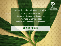Denise Pereira Gestora Executiva