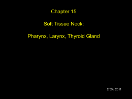 soft tissue neck Chapter_15 online 2 24 2011