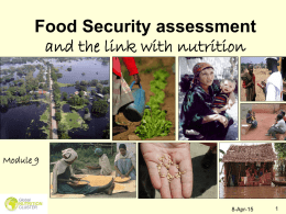 Food Security Assessment and the Link with