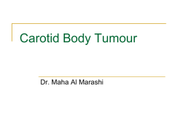 Carotid Body Tumour