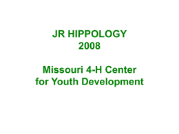 Junior Hippology Stations 2008  - Missouri 4-H