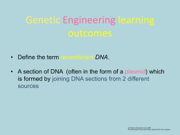 genetic engineering - Skinners` School Science