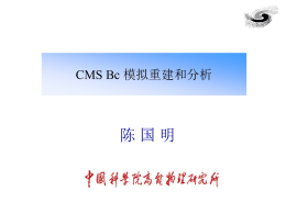 陈国明CMS上的Bc 模拟和分析