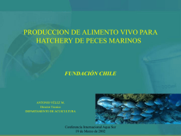 produccion de alimento vivo para hatchery de peces marinos