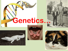 Genetics ppt - John Adams Academy