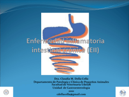 Presentacion_EII_cronica - Red Nacional de Veterinarias