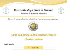 L`insulino-resistenza - Universit&agrave; degli Studi di Cassino