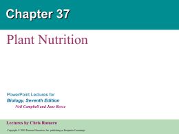 Plant Nutrition