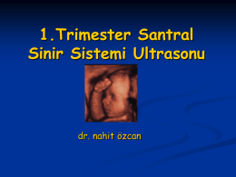 Birinci Üç Ay SSS Ultrasonografi