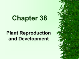 Plant Reproduction
