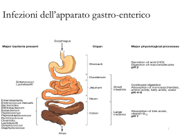 009 - Infezioni dell`apparato gastro-enterico