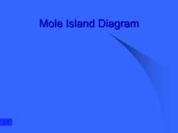 Mole Island Diagram Notes Part 3