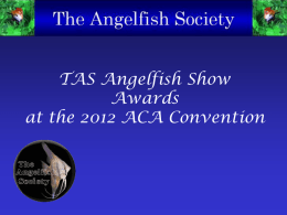 The TAS Show Winners @ ACA 2012 PPT