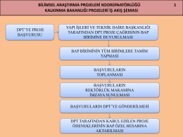 Kalkınma Bakanlığı Projeleri iş akış şeması