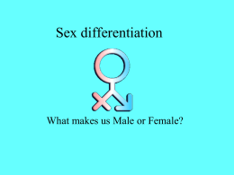 Sex differentiation