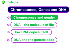 KS4 Chromosomes, Genes and DNA