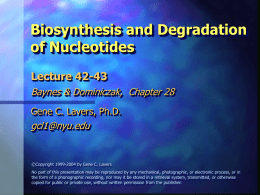 2004 Lec 42-43: Nucleotide Metabolism