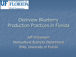 Blueberry Production ppt