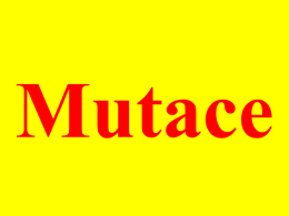 Mutace