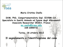 comportamento 2