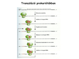 fúziós fehérjék