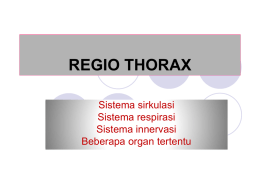 Regio thorax - UNAIR | E