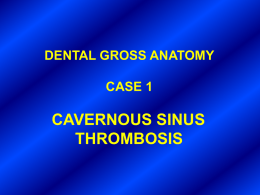 DENTAL GROSS ANATOMY CASE 1 CAVERNOUS SINUS