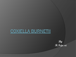 Q-Fever (Coxiella burnetii)