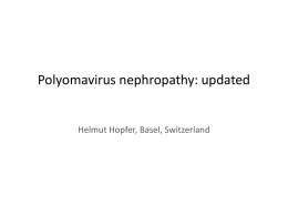 Polyomavirus nephropathy (PPT / 3880.5 KB)