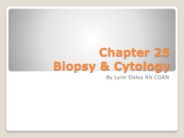 Chapter 25 Biopsy & Cytology