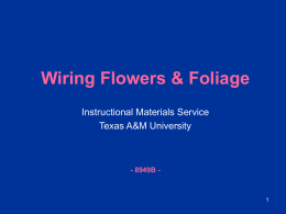 Wiring Flowers & Foliage