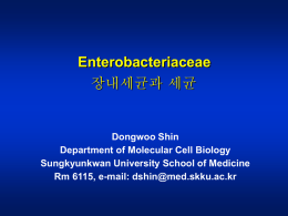 병원성세균학(대학원)_Enterobacteriacea(1)