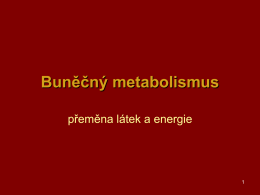 04buněčný metabolismus