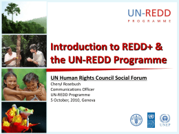 The UN-REDD Programme - Office of the High Commissioner for Human