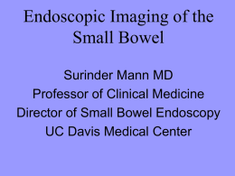 Endoscopic Imaging of the Small Bowel