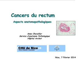 Anapath du cancer du rectum