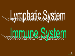 Lymphatic