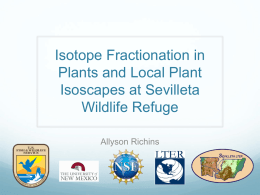 Isotope Fractionation in Plants and Local Plant Isoscapes at