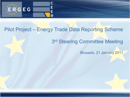 Pilot project &ndash; Energy Trade Data Reporting Scheme