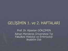 GELİŞİMİN 1. ve 2. HAFTALARI - Adnan Menderes Üniversitesi