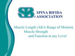 Muscle Length (AKA Range of Motion)
