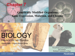 1 Protein Synthesis and Gene Expression