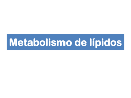 Metabolismo de lipidos 2014