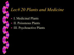 PowerPoint Presentation - Lec# 20 Plants and Medicine file